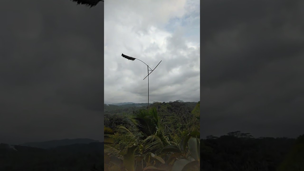 kokecer sambung,hanca kamari di cobian dei,bikin penasaran anu nongton 🤭🤭🤭🤭