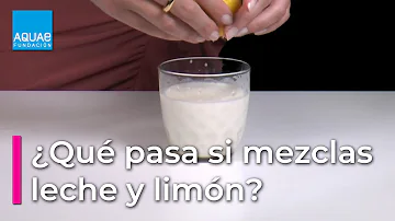 ¿Qué ocurre cuando se añade limón a la leche?