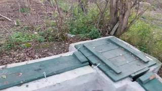 Ajša Vom Rexon Forst, First Time In Trench 5,5 Month Old