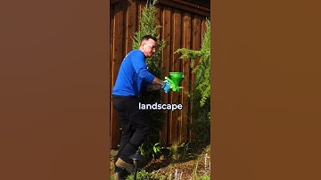 How to STOP WEEDS in Your Lawn!