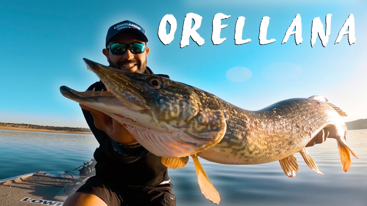 💥​ EXPLOSIÓN de BLACK BASS y LUCIOS, son ENORMES! | DIA 1