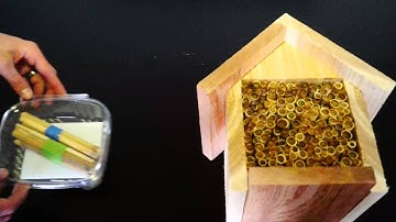 How To Set Up Your Bee House Tutorial