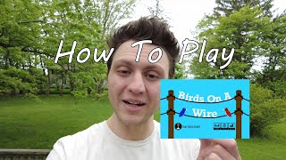 Birds On A Wire | How To Play screenshot 3