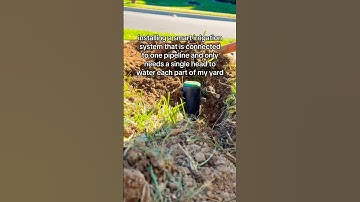 Installing A Smart Irrigation System Connected To One Pipeline