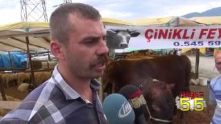 KURBAN PAZARINDAKİ 1 TONLUK TOSUN VATANDAŞIN İLGİ ODAĞI OLDU