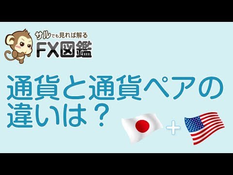 【FX 学習動画】 通貨と通貨ペアの違いは？
