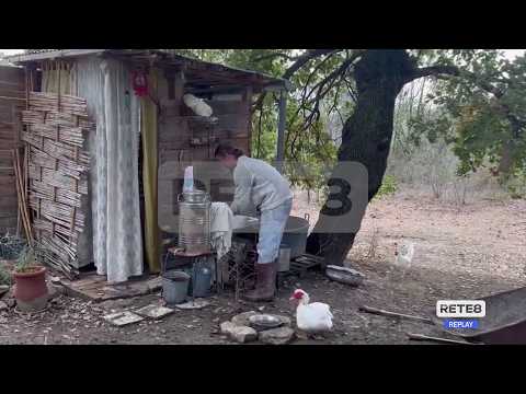 Video Famiglia nel bosco - Depositata la perizia finale