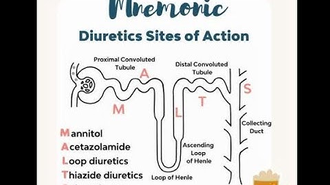 Dược lý ( VNU-UMP ) - Thuốc lợi tiểu ( GV. Đỗ Thị Hồng Khánh )