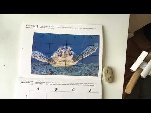 Year 5 - Lesson 3 - Turtle Grid Drawing