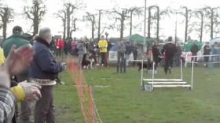 jumping 3 diverse klassen 29-03-2009
