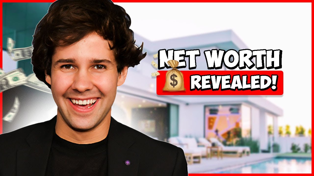 what the deal with david dobrik's net worth