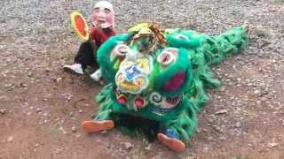 Download Lagu เชิดสิงโตงานบวชพระนุ๊ก MP3