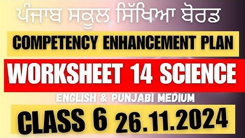 Class 6 SCIENCE Worksheet 14 solution 26.11.2024 english and punjabi medium  #newszone39