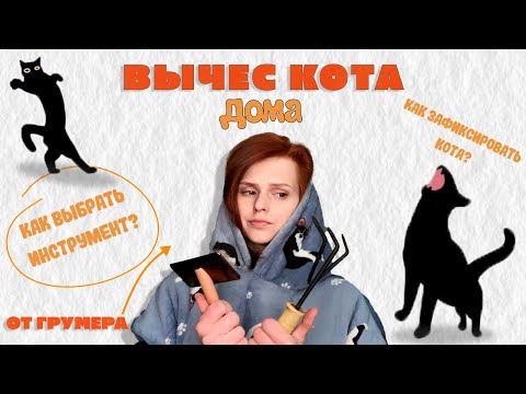 Рассказывает грумер | Как вычесать кота? как выбрать расческу для кота? как зафиксировать?