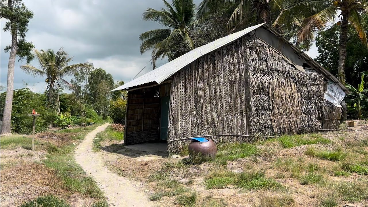 Khám Phá Làng Quê với mái Lá Mộc Mạc Yên Bình Bấp Ngờ Lạc Vào Khỉ Ho Cò Gáy Không Một Bóng Người 