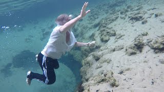 Williford Springs 2018 - Econfina Creek, Florida @carolingwholeo
