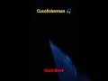 Bioluminiscencia yendo al pesquero, una maravilla😃😎💪🏾🎣, #pesca #zodiac #youtubeshorts
