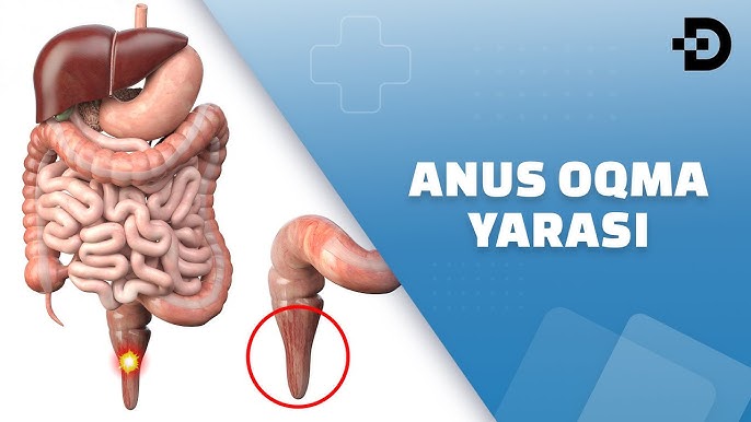 Internetda ozini korsatadi