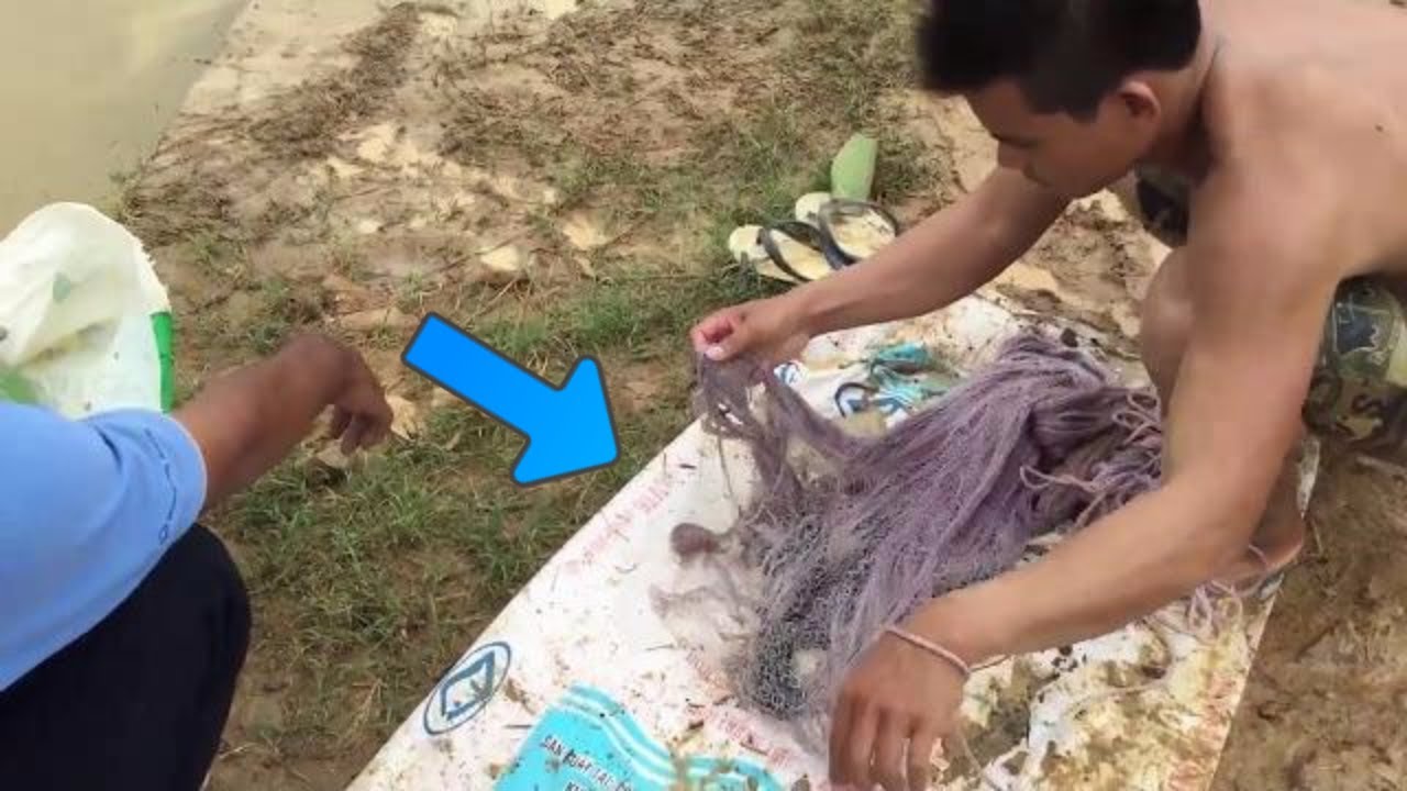 Primitive Fishing - Primitive Survival Tool Cast Net Fishing at The Rice Field #19