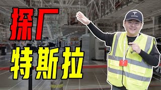 首批拿到拍攝許可！去特斯拉上海超級工廠探廠啦【沈帥波】