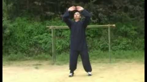 WuDang Wu Xing Qi Gong 养生功.flv