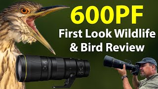 Nikon 600PF - First Look Field Review! (PLUS comparisons with the 180-600, 500PF, 800PF and more!)