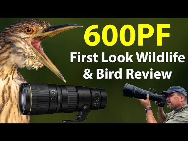 Nikon 600PF - First Look Field Review! (PLUS comparisons with the
