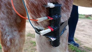 ¡INCREIBLE! Caballo con Sistema de Energía Inagotable 🔋⚡