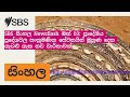 SBS සිංහල Newsflash ඔක් 03: ප්‍රාදේශීය ප්‍රදේශවල සංක්‍රමණික සේවකයින් මුහුණ දෙන ගැටළු ගැන නව...