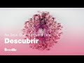 The Sous Chef® 16 Peel & Dice | Prepare platos más fácil cortando con precisión | Breville México