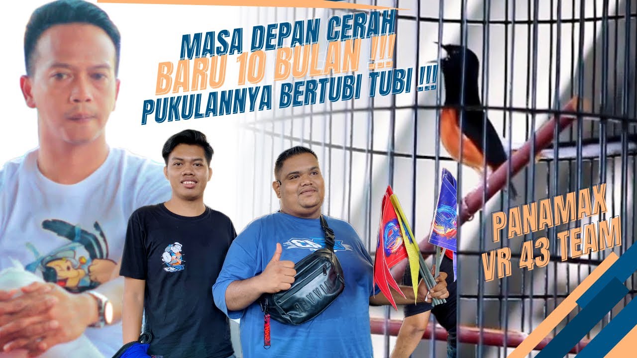 Pastol Berbahaya‼️PANAMAX Debutan VR43 Team Juara 1 Di 3Th Anniversary All Star Arena🔥