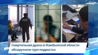 Смертельная драка: в Жамбылской области обнаружили труп подростка