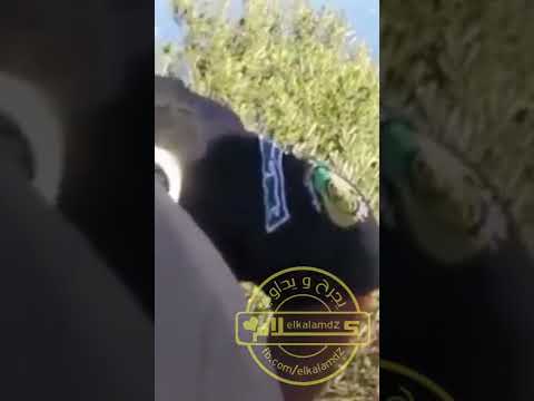  ف بجاية حكموه مع طفلة في الغابة قالو يا شاف والله ما نعرفها