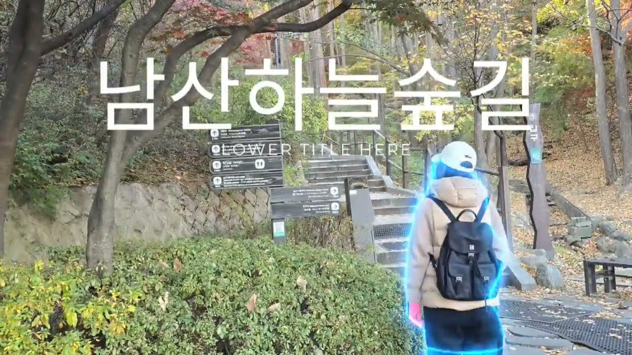 남산 하늘 숲길|서울 도심 숲길|혼자 걸어도 좋은 숲길|누구나 즐길 수 있는 숲길|가을 단풍이 예쁜 숲길