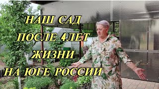 картинка: 585ч Наша жизнь на юге после переезда/Сад выращенный за 4 года жизни на Кубани