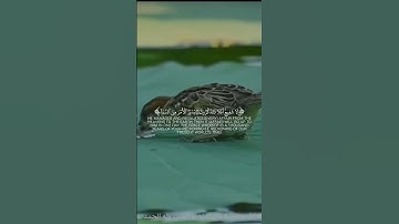 April 14, 2025 الله الذي خلق السموات والأرض وما بينهما في ستة أيام ثم استوى | الآية 4 من سورة السجدة
