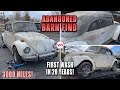 Abandoned barn find first wash in 20 years vw super beetle satisfying car detailing restoration