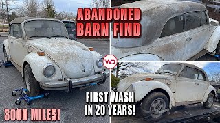 ABANDONED BARN FIND First Wash In 20 Years VW Super Beetle Satisfying Car Detailing Restoration