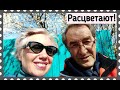 Весна расцветает на глазах, скоро смотрите по всей России