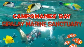 Campomanes Bay Marine Sanctuary Sipalay Negros Occidental