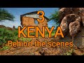 Behind the scenes KENYA 3, Baringo, deadly venomous Carpet or saw-scaled viper (Echis), Sand snake