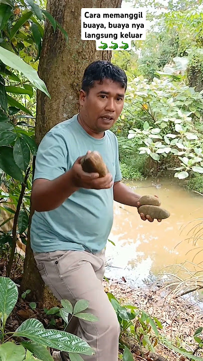 Cara memanggil buaya, buaya nya langsung keluar #videoshorts #hiburan #comedy  #buaya #fyp #lucu