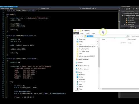 C++  with SQLite database demonstration