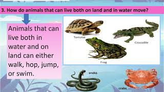 Q2 SCIENCE 4 LESSON 24  ANIMAL MOVEMENTS IN A PARTICULAR HABITAT