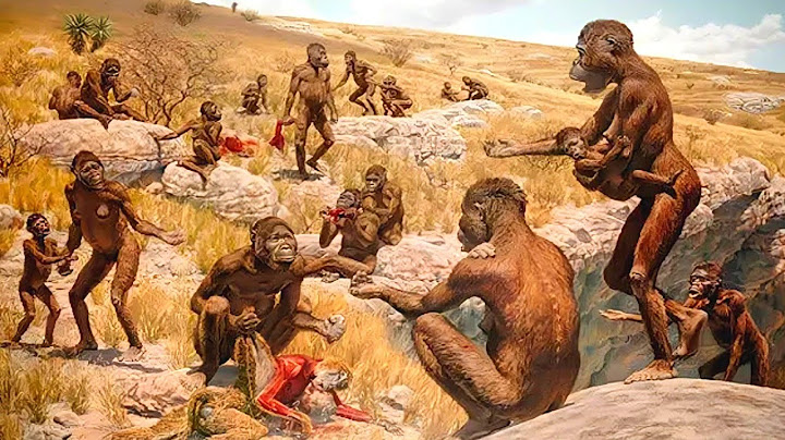Menneskets opprinnelse og utvikling – Human origin and evolution |