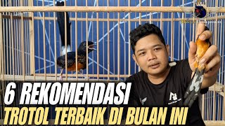 6 REKOMENDASI TROTOL TERBAIK BULAN INI ‼️🔥🔥🔥