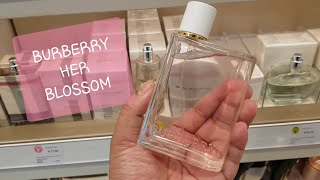 burberry blossom perfume