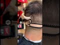Milwaukee Chihuahua Cutz | Tools for Fools 🧰 not Milwaukee Tools 🛠️ AI parody and slop