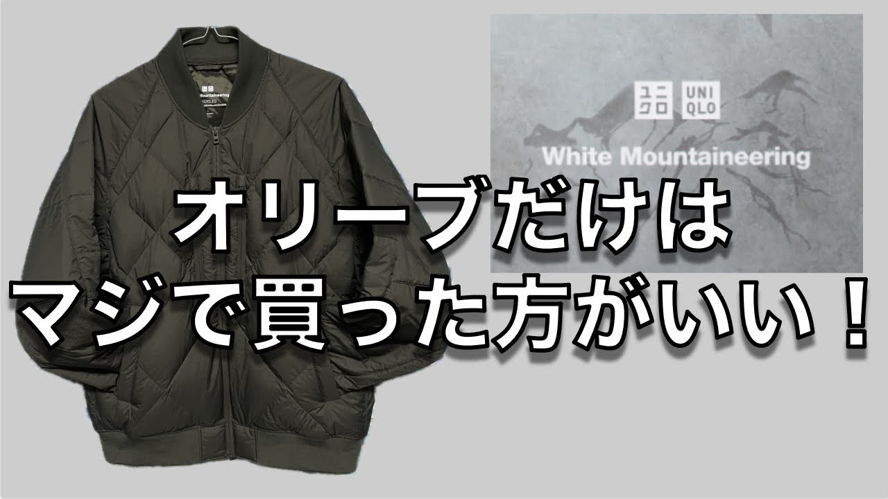 購入品レビュー】ユニクロ＆ホワイトマウンテアニング、リサイクル 