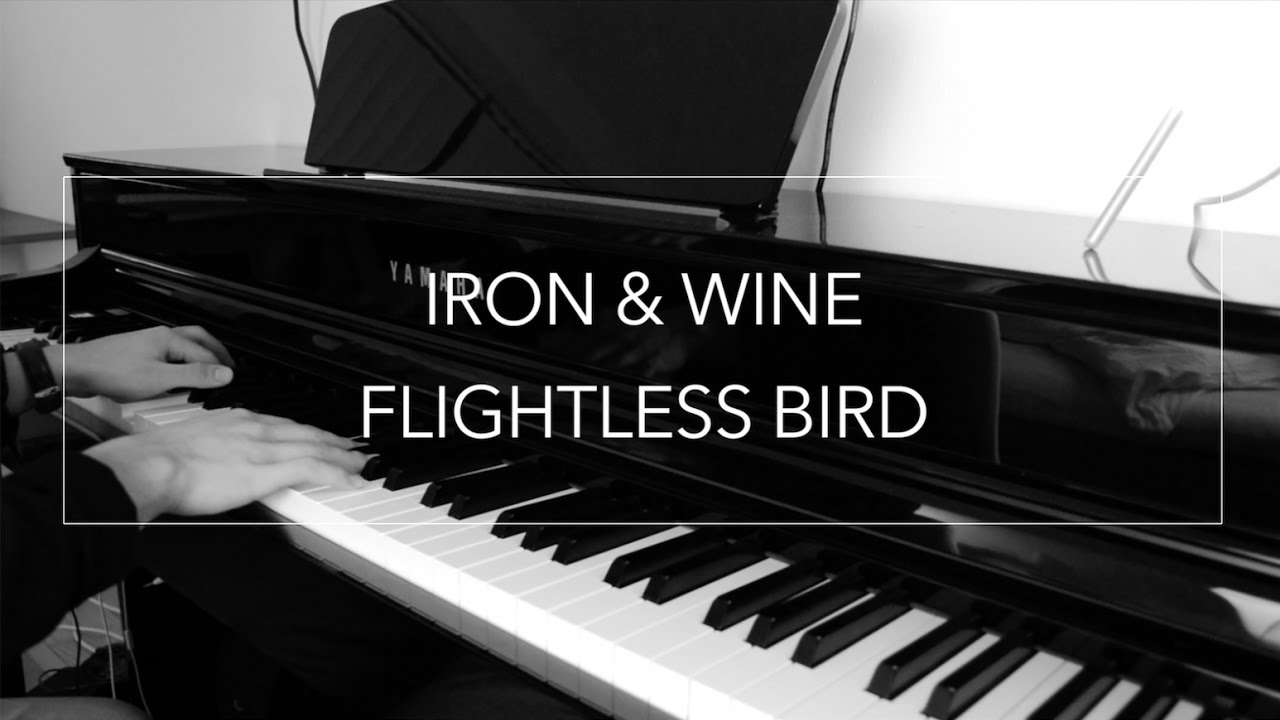 Iron & Wine Flightless Bird American Mouth Wedding Version